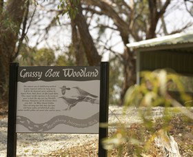 Kindra Forest - New Castle Holiday 0