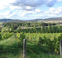 Sassy Wines - New Castle Holiday