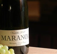 Baptista - David Traeger - New Castle Holiday