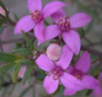 Self Drive Geology and Nature Trails - New Castle Holiday