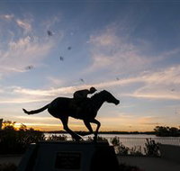 Black Caviar Statue - New Castle Holiday
