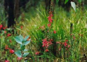 Enfield State Park - New Castle Holiday 0