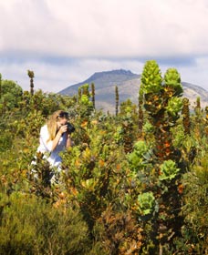 Fitzgerald River National Park - New Castle Holiday 2