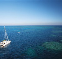 Bait Reef and Garys Lagoon Dive Site - New Castle Holiday