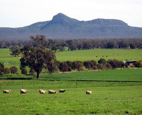 The Rock Nature Reserve - New Castle Holiday 0