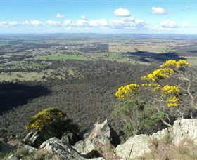 The Rock Nature Reserve - New Castle Holiday 4