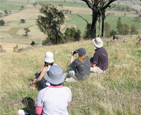 The Rock Nature Reserve - New Castle Holiday 2