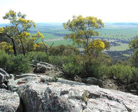 The Rock Nature Reserve - New Castle Holiday 6