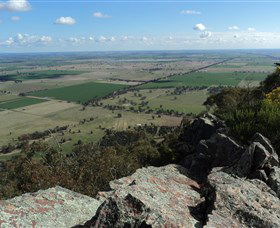 The Rock Nature Reserve - New Castle Holiday 5