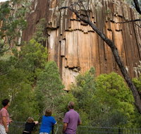 Sawn Rocks walking track - New Castle Holiday