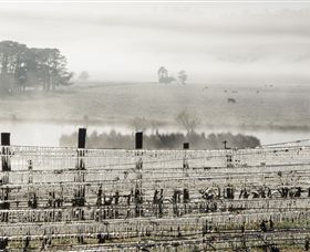 Grange Cleveland Winery - New Castle Holiday 7