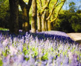 Duneira, Mt Macedon - New Castle Holiday 4
