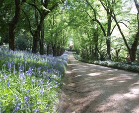 Duneira, Mt Macedon - New Castle Holiday 3