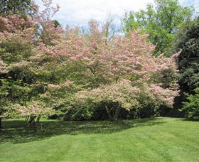 Duneira, Mt Macedon - New Castle Holiday 7