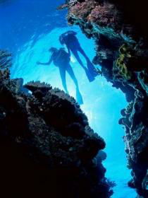 Caves And Canyons Dive Site - New Castle Holiday 0