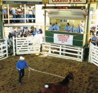 Gracemere Exhibition Complex - New Castle Holiday