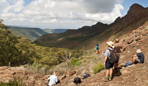 Yulludunida Walking Track - New Castle Holiday 0