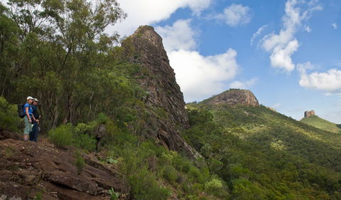 Yulludunida Walking Track - New Castle Holiday 1
