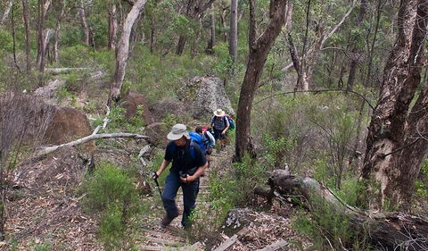 Yulludunida Walking Track - New Castle Holiday 3