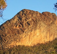 Kaputar scenic drive - New Castle Holiday