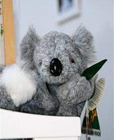 Timboon Toybox - New Castle Holiday 1