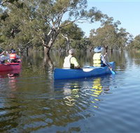 Doodle Cooma Swamp - New Castle Holiday