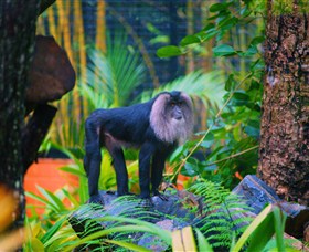 The Rockhampton Zoo - New Castle Holiday 3