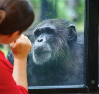 The Rockhampton Zoo - New Castle Holiday