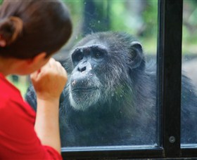 The Rockhampton Zoo - New Castle Holiday 0