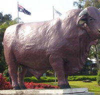 Rockhampton Bull Statues - New Castle Holiday