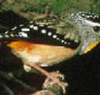 Reef Hills State Park - New Castle Holiday