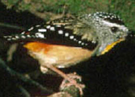 Reef Hills State Park - New Castle Holiday 0