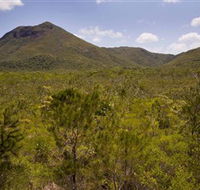 Kutini-Payamu Iron Range National Park CYPAL - New Castle Holiday