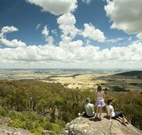 Mt Wombat lookout - New Castle Holiday