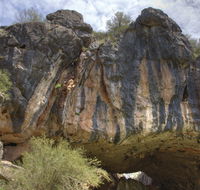 Borenore Karst Conservation Reserve - New Castle Holiday