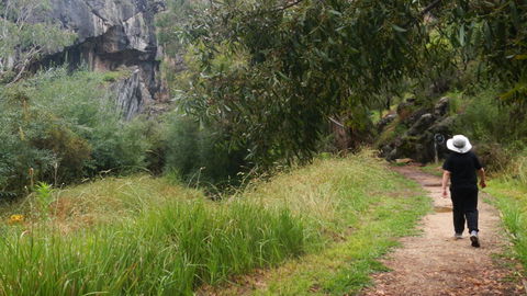 Borenore Karst Conservation Reserve - New Castle Holiday 3