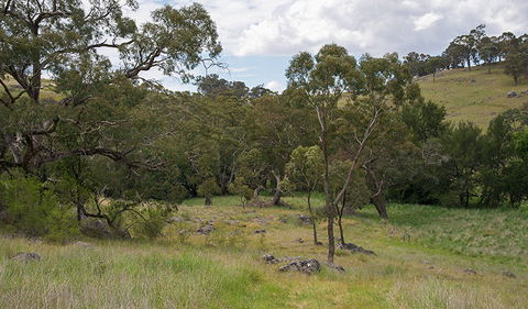 Verandah Cave - New Castle Holiday 1