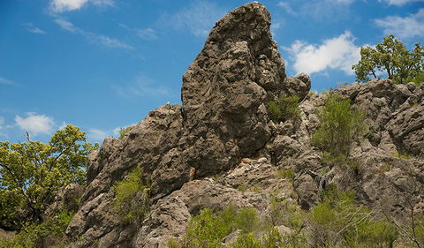Verandah Cave - New Castle Holiday 2