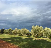 Camilo - New Castle Holiday