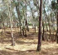 Chiltern-Mt Pilot National Park - New Castle Holiday