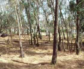 Chiltern-Mt Pilot National Park - New Castle Holiday 0