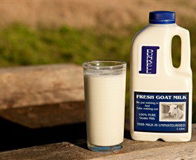 Dunkell Goats - New Castle Holiday 2