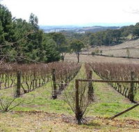Habitat Vineyard - New Castle Holiday