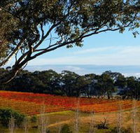 Bloodwood Estate - New Castle Holiday