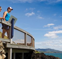 Mount Canobolas State Conservation Area - New Castle Holiday
