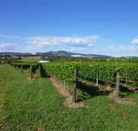 Hedberg Hill Wines - New Castle Holiday