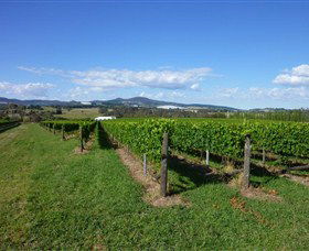 Hedberg Hill Wines - New Castle Holiday 0