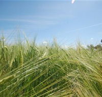 150 Degrees East Meridian - New Castle Holiday