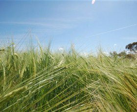 150 Degrees East Meridian - New Castle Holiday 0