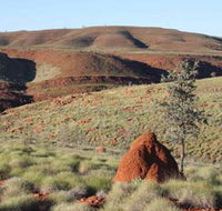 Camel Trail Millstream-Chichester National Park - New Castle Holiday